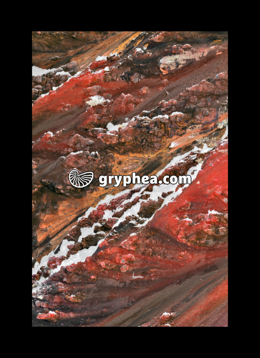 Vallée Yellowstone River (Yellowstone NP, USA) - gryphea.com